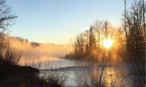 Vortragsreihe "Trauer - Abschied - Neuorientierung"
