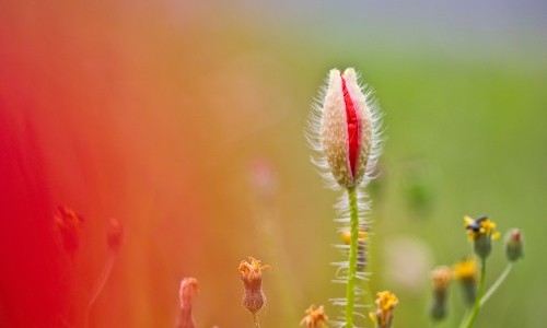 Gottesdienst  am Kirchensonntag