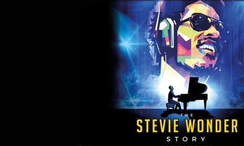 The Stevie Wonder Story
