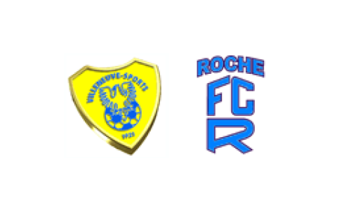 Villeneuve-Sports II - FC Roche II