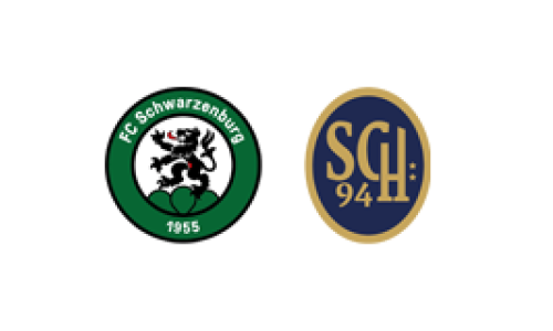 FC Schwarzenburg - SC Holligen 94