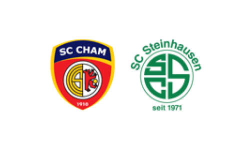 SC Cham d - SC Steinhausen b