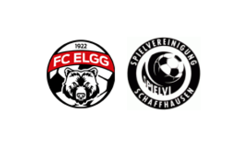 FC Elgg b - SV Schaffhausen c