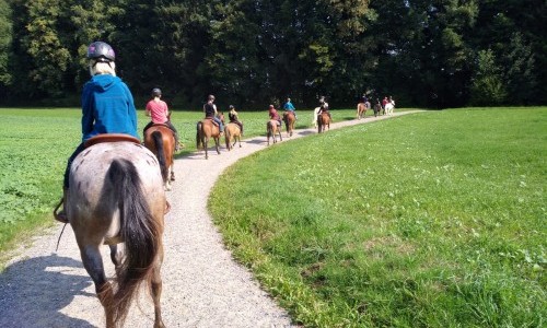 Geführte Ausritte mit Westernpferden auf dem Lindenberg