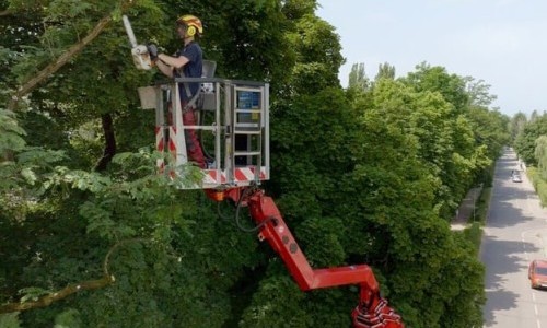 3Sat: The city as a garden - working on green Klagenfurt