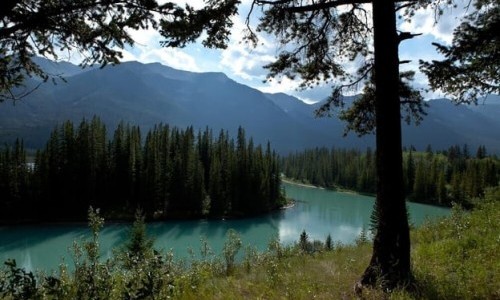 3Sat: Im Zauber der Wildnis - Geheimnis der Rockies: Der Banff-Nationalpark