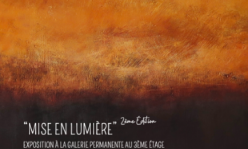 Mise en lumière - Laurent Gallay
