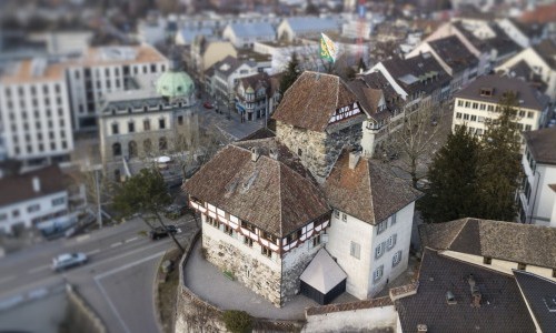 Spaltpilz Schloss Frauenfeld