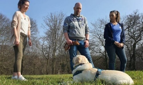 VOX: Der Hundeprofi - Rütters Team