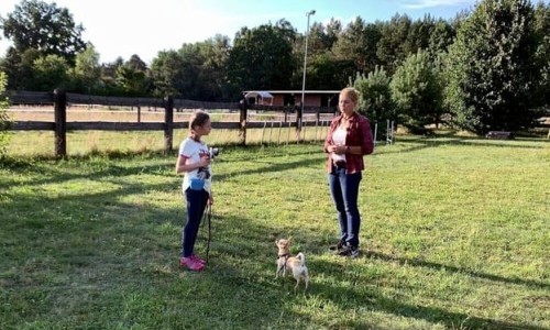 ARD: Liebste Fellnasen - Abenteuer Hundeschule