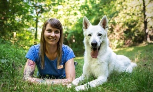 VOX: The Dog Professional - Rütters Team