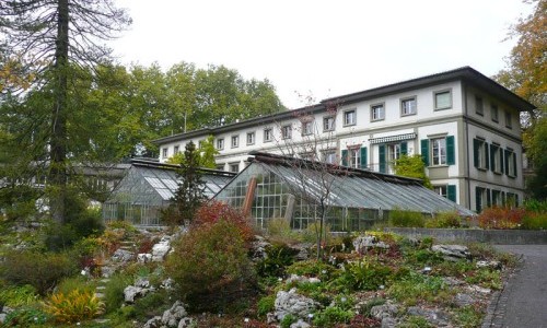 BOGA Botanischer Garten der Universität Bern