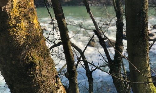 La Punta Bianca ✧ Das Kinn ✧ YZ [Synthpunk - Dark Pop Panarabe - Minimal Synth] - Le Grain [Espace de Création]