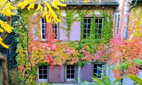 Theologisches Seminar