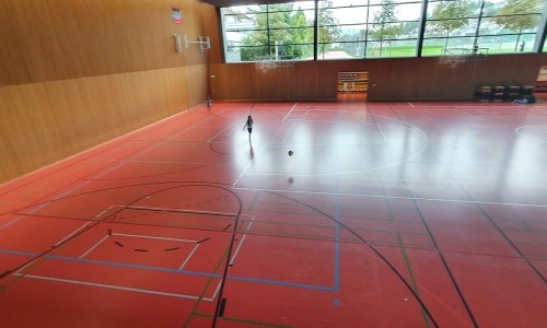 Sporthalle Hofmatt 3