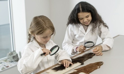 Jugendlabor «Überwintern: tierisch gute Tricks»