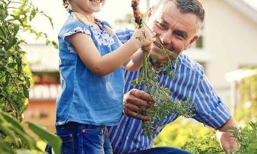Themenwoche: &laquo;Nachhaltig g&auml;rtnern&raquo;