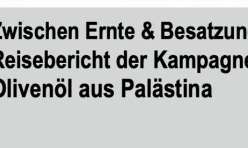 Reisebericht der Kampagne Oliven&ouml;l aus Pal&auml;stina