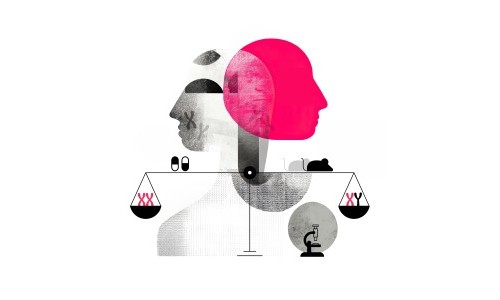 Fokus Forschung: Pr&auml;zisionsmedizin