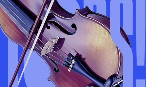 Amadeus unterm Tannenbaum