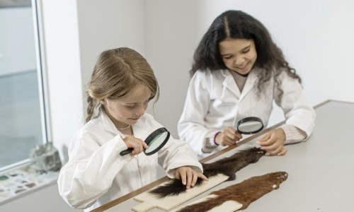 Jugendlabor «Überwintern: tierisch gute Tricks»