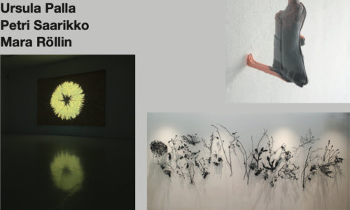 Ursula Palla, Petri Saarikko, Mara R&ouml;llin