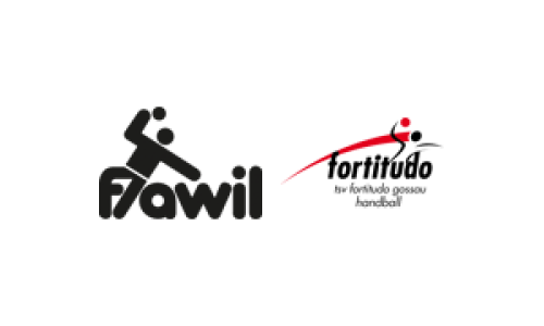 HC Flawil 1 - TSV Fortitudo Gossau 2