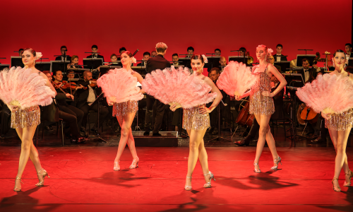 &laquo;Da geh ich zu Maxim!&raquo; &ndash; Operettenrevue