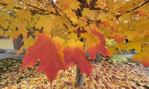 2026 - Jubil&auml;um zu 25 Jahren Pilgerstamm