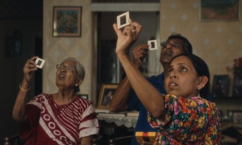 Elephants & Squirrels