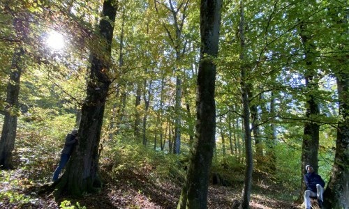 Natur- und Waldbaden