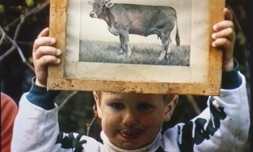 *DER GRÜNE BERG (*16h)