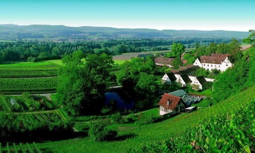 Stiftung Kartause Ittingen