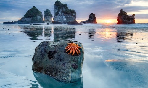 Wunderwerk Natur - Explora Live Reportage