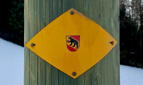 Winterwald und Sandsteinfelsen