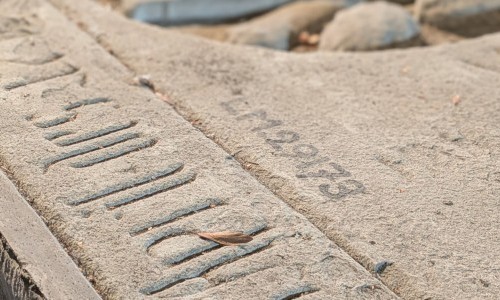 Steinzeit im Sammlungszentrum