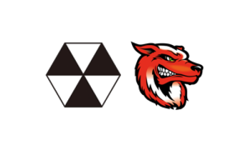 SG Handball Basel-Stadt - SG Fricktal