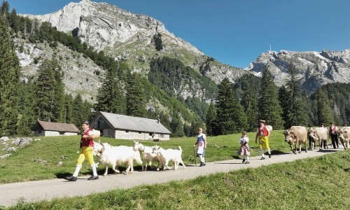 Klangkino Film & Vortrag mit Peter Roth zu Handwerk und Intuition