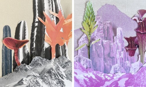 Linda Bernhard: La vie en rose