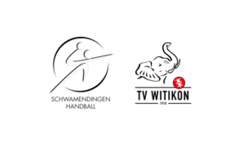 Schwamendingen Handball - SG TV Witikon 2