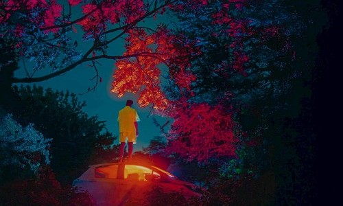 Preview &laquo;Tannh&auml;user&raquo;