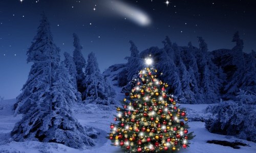 Tannenwäldchen schmücken mit Punsch und Musik