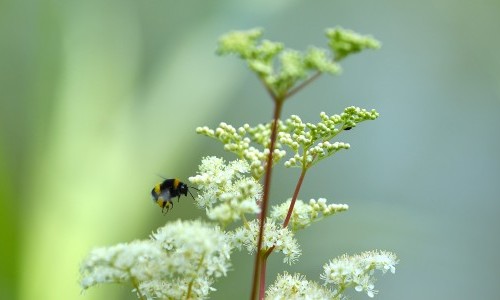 Sommer mit den Ranger/-innen