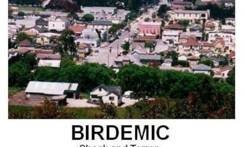 BEST WORST MOVIE NIGHT: Birdemic - Shock & Terror im Kino