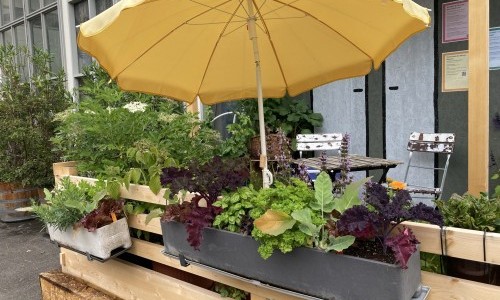 Mein bunter Stadtbalkon