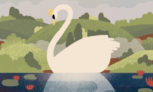 2. Familienkonzert – Der Schwanensee