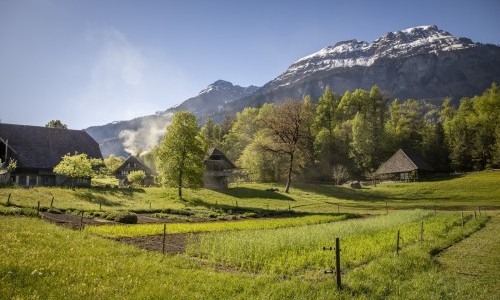 Freilichtmuseum Ballenberg, Hofstetten