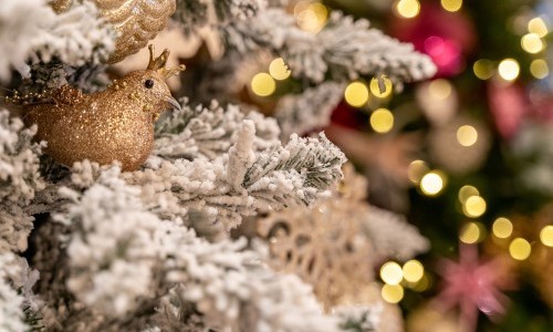 Weihn&auml;chtliche Philosophie-Soir&eacute;e mit Barbara Bleisch und Wolfram Eilenberger