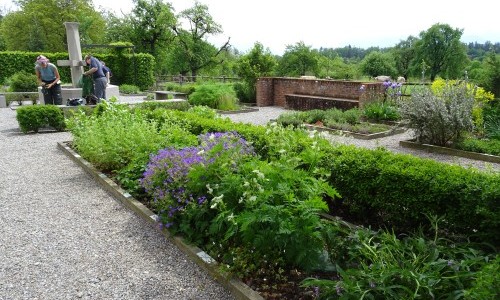 EPCHEN - KR&Auml;UTERGARTEN - F&Uuml;HRUNG