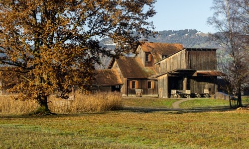 Naturzentrum Schollenm&uuml;hle